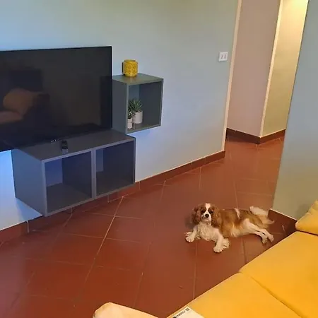 L'appartamento Del Maestro Apartment